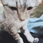 ヒメ日記 2025/10/30 22:11 投稿 みう 北九州人妻倶楽部（三十路、四十路、五十路）