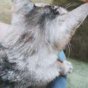 ヒメ日記 2025/11/12 04:28 投稿 みう 北九州人妻倶楽部（三十路、四十路、五十路）