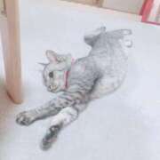 ヒメ日記 2025/12/04 12:46 投稿 みう 北九州人妻倶楽部（三十路、四十路、五十路）