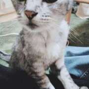 ヒメ日記 2026/01/24 12:22 投稿 みう 北九州人妻倶楽部（三十路、四十路、五十路）