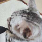 ヒメ日記 2026/02/20 01:14 投稿 みう 北九州人妻倶楽部（三十路、四十路、五十路）