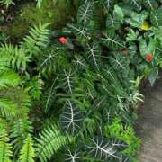 ヒメ日記 2024/12/27 19:43 投稿 絵夢 新宿人妻城