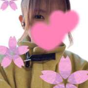 ヒメ日記 2025/02/25 11:28 投稿 絵夢 新宿人妻城