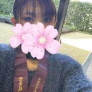 ヒメ日記 2025/03/20 14:38 投稿 絵夢 新宿人妻城