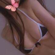 ヒメ日記 2025/10/09 17:39 投稿 みなみ 人妻アクメ 60分11000円～