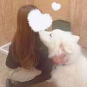 ヒメ日記 2025/12/16 20:56 投稿 みなみ 人妻アクメ 60分11000円～