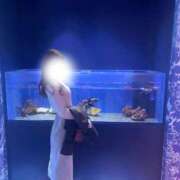 ヒメ日記 2026/02/20 20:59 投稿 みなみ 人妻アクメ 60分11000円～