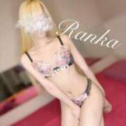 ヒメ日記 2025/03/23 09:30 投稿 らんか 男爵