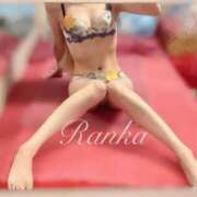 ヒメ日記 2025/12/12 19:02 投稿 らんか 男爵