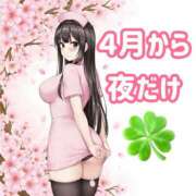 ヒメ日記 2026/03/08 23:45 投稿 よつば いけない歯科衛生士 錦糸町店