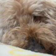 ヒメ日記 2025/06/21 07:32 投稿 星宮すう Finemotion