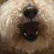 ヒメ日記 2025/10/12 17:08 投稿 星宮すう Finemotion