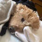 ヒメ日記 2025/11/23 19:08 投稿 星宮すう Finemotion