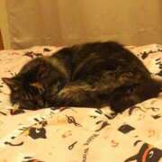 ヒメ日記 2025/01/14 11:24 投稿 春田和佳奈 五十路マダム静岡店（カサブランカG）