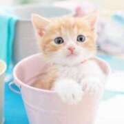 ヒメ日記 2025/07/25 23:18 投稿 春田和佳奈 五十路マダム静岡店（カサブランカG）