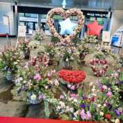 ヒメ日記 2025/10/20 22:54 投稿 春田和佳奈 五十路マダム静岡店（カサブランカG）