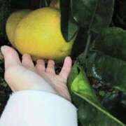 ヒメ日記 2025/12/16 18:34 投稿 春田和佳奈 五十路マダム静岡店（カサブランカG）