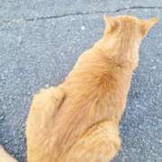 ヒメ日記 2025/12/18 23:24 投稿 春田和佳奈 五十路マダム静岡店（カサブランカG）