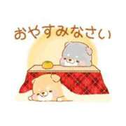 ヒメ日記 2026/01/28 23:18 投稿 春田和佳奈 五十路マダム静岡店（カサブランカG）