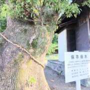ヒメ日記 2026/07/22 14:46 投稿 春田和佳奈 五十路マダム静岡店（カサブランカG）