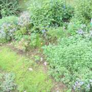 ヒメ日記 2026/10/01 15:04 投稿 春田和佳奈 五十路マダム静岡店（カサブランカG）