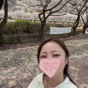 ヒメ日記 2026/04/28 11:29 投稿 リズ Spa Allure（スパアリュール）