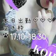 ヒメ日記 2025/02/05 14:31 投稿 こう 大奥 梅田店