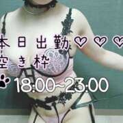 ヒメ日記 2025/02/09 05:31 投稿 こう 大奥 梅田店