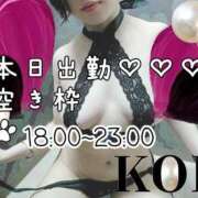 ヒメ日記 2025/02/09 10:21 投稿 こう 大奥 梅田店