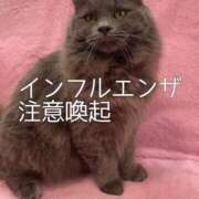 ヒメ日記 2025/03/01 08:17 投稿 こう 大奥 梅田店