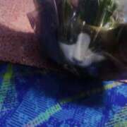 ヒメ日記 2025/06/14 20:36 投稿 こう 大奥 梅田店