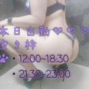 ヒメ日記 2025/06/25 09:33 投稿 こう 大奥 梅田店