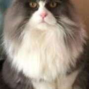 ヒメ日記 2025/06/30 17:31 投稿 こう 大奥 梅田店