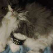 ヒメ日記 2025/06/30 19:21 投稿 こう 大奥 梅田店