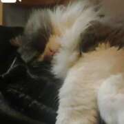 ヒメ日記 2025/07/25 08:06 投稿 こう 大奥 梅田店