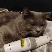 ヒメ日記 2025/09/19 10:12 投稿 こう 大奥 梅田店