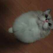 ヒメ日記 2025/10/08 07:51 投稿 こう 大奥 梅田店