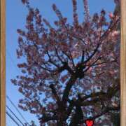 ヒメ日記 2025/03/05 15:44 投稿 なぎさ Queen Angel(クイーンエンジェル)