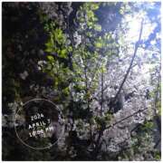 ヒメ日記 2025/04/01 23:41 投稿 なぎさ Queen Angel(クイーンエンジェル)