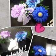 ヒメ日記 2025/04/08 16:26 投稿 なぎさ Queen Angel(クイーンエンジェル)