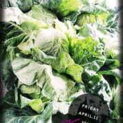 ヒメ日記 2025/04/11 12:04 投稿 なぎさ Queen Angel(クイーンエンジェル)