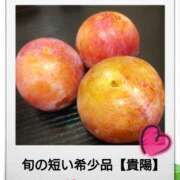 ヒメ日記 2025/08/05 23:20 投稿 なぎさ Queen Angel(クイーンエンジェル)