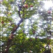 ヒメ日記 2025/10/05 00:22 投稿 なぎさ Queen Angel(クイーンエンジェル)