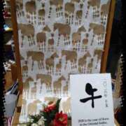 ヒメ日記 2025/11/12 13:37 投稿 なぎさ Queen Angel(クイーンエンジェル)