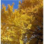 ヒメ日記 2025/11/29 18:28 投稿 なぎさ Queen Angel(クイーンエンジェル)