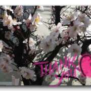 ヒメ日記 2026/02/24 01:18 投稿 なぎさ Queen Angel(クイーンエンジェル)