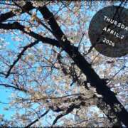 ヒメ日記 2026/04/03 13:20 投稿 なぎさ Queen Angel(クイーンエンジェル)