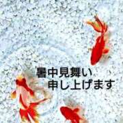 ヒメ日記 2026/07/21 20:01 投稿 なぎさ Queen Angel(クイーンエンジェル)
