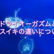 ヒメ日記 2025/01/10 19:45 投稿 Sado(サド) THE SECRET 五反田メスイキ研究所