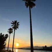 ヒメ日記 2025/03/22 13:45 投稿 Sado(サド) THE SECRET 五反田メスイキ研究所